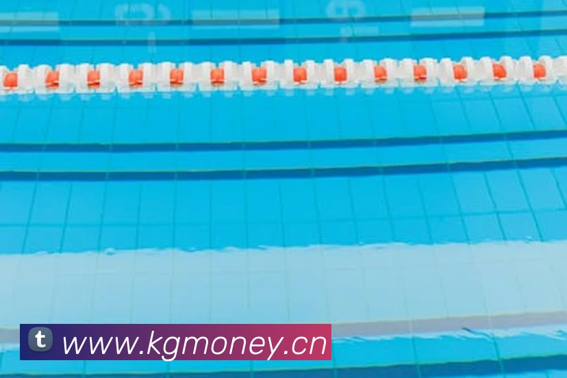 星空体育平台综合登录APP 封面图